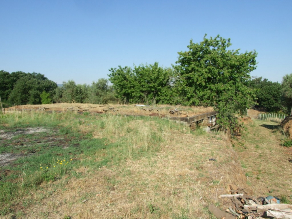 DSCF4843 (FILEminimizer).JPG
